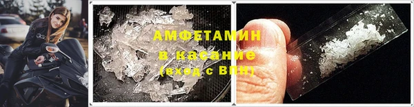 индика Дмитров