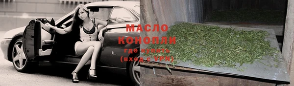 индика Дмитров