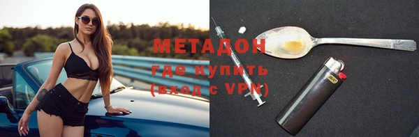 индика Дмитров