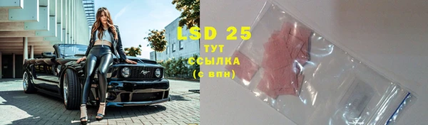 индика Дмитров