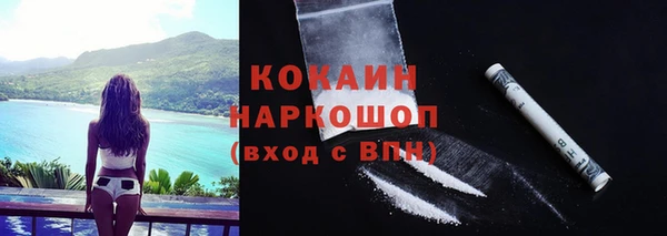 индика Дмитров