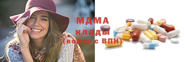 индика Дмитров
