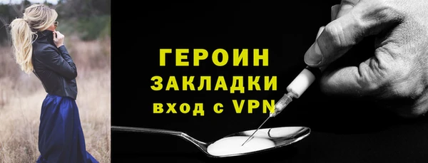 индика Дмитров