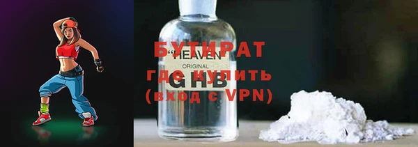 индика Дмитров