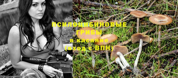 индика Дмитров