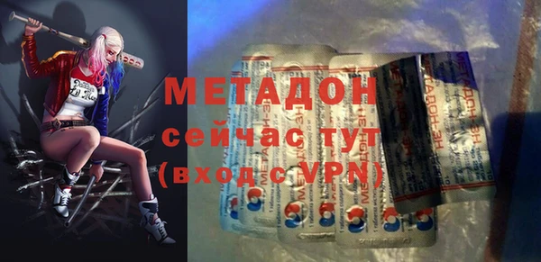 индика Дмитров