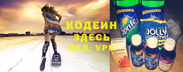 индика Дмитров